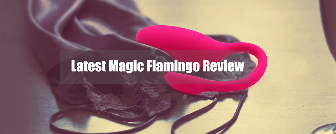 2024 Latest Magic Flamingo Review