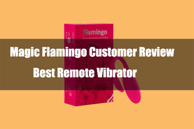 Magic Flamingo customer review graphic with product box.